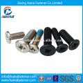 Stock Stainless Steel Self Tapping Screw (DIN7981)